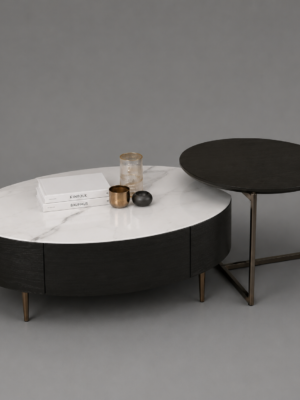 Modern Oval Coffee Table Set