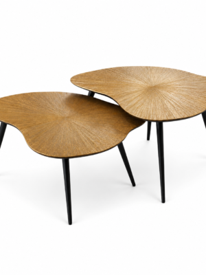 Clayden set of 2 wooden coffee table