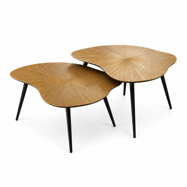 Clayden set of 2 wooden coffee table
